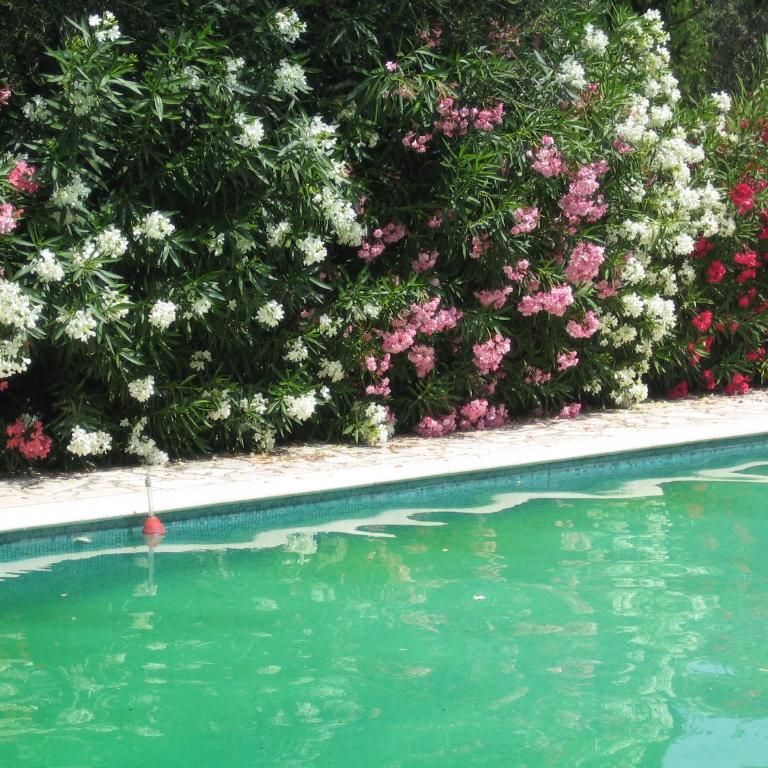 17th Century Stone House, Pool, Air-Conditioned - Villa - 3