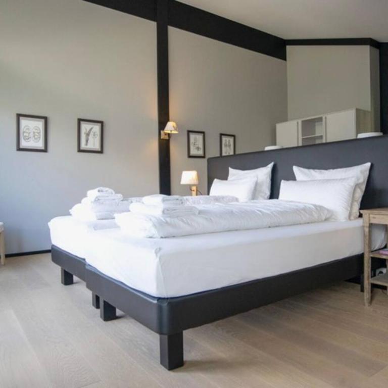 Lauchernalp Resort Residences - Penthouse-Apartment - 7