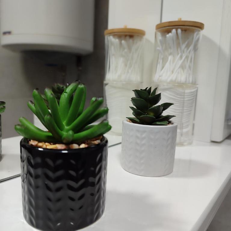 Studio apartman free parking RUBIKON - Porodični Studio - 17