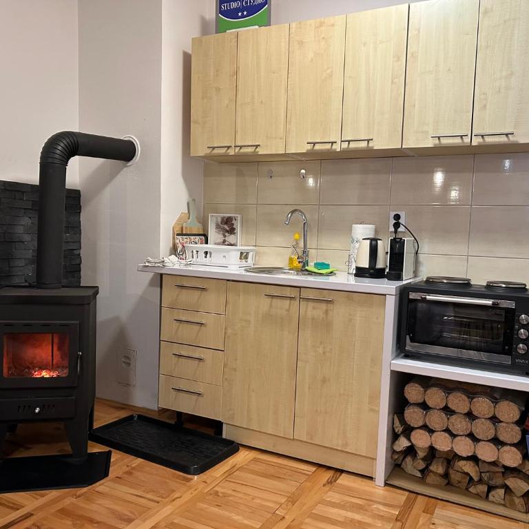 Studio apartman Winter Place - One-Bedroom Apartment - 2