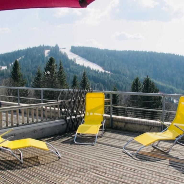Appartement sur les hauteurs de Gérardmer - Appartement avec Vue sur la Montagne - 1