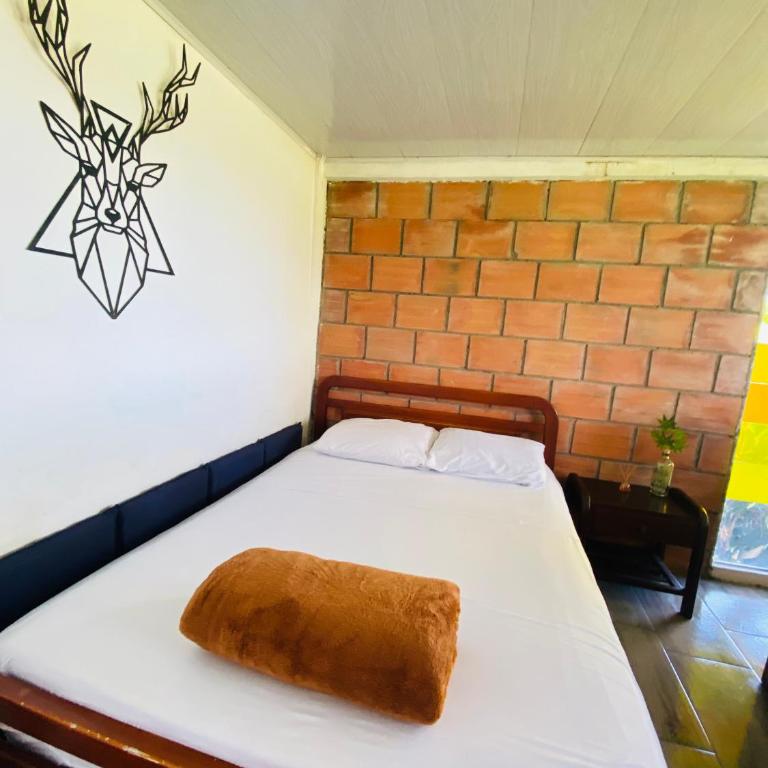 Tierra Mágica eje cafetero - Apartamento de 2 dormitorios - 10