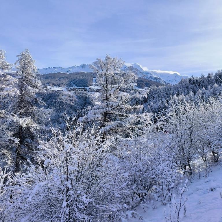 Résidence Le Rami Les Coches - La Plagne - Two-Bedroom Apartment - 1
