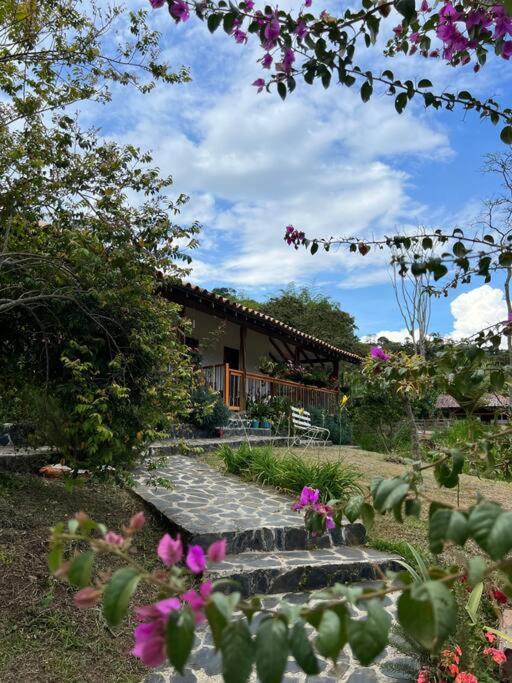 Finca Sierra Luz - Casa de 3 dormitorios - 17