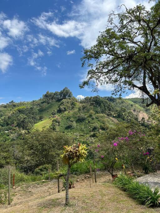 Finca Sierra Luz - Casa de 3 dormitorios - 38