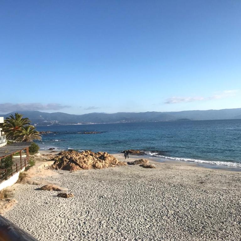 Les terrasses de Toretta - Apartamento de 1 dormitorio - 3