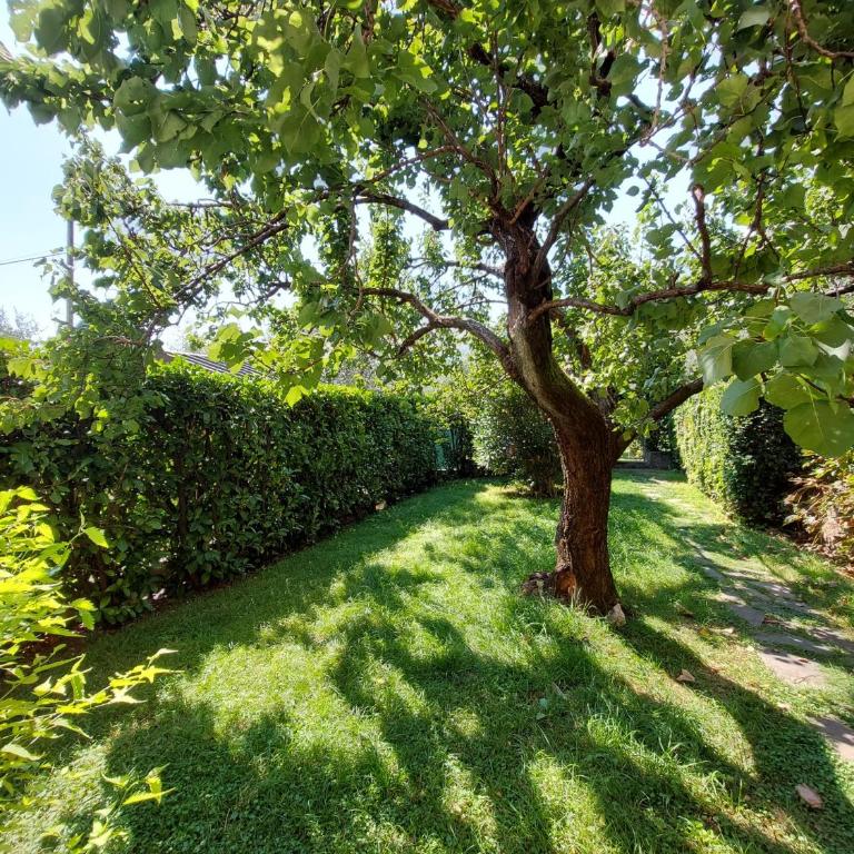 Casa Malina Ferienhaus im Grünen am Gardasee - Three-Bedroom House - 4