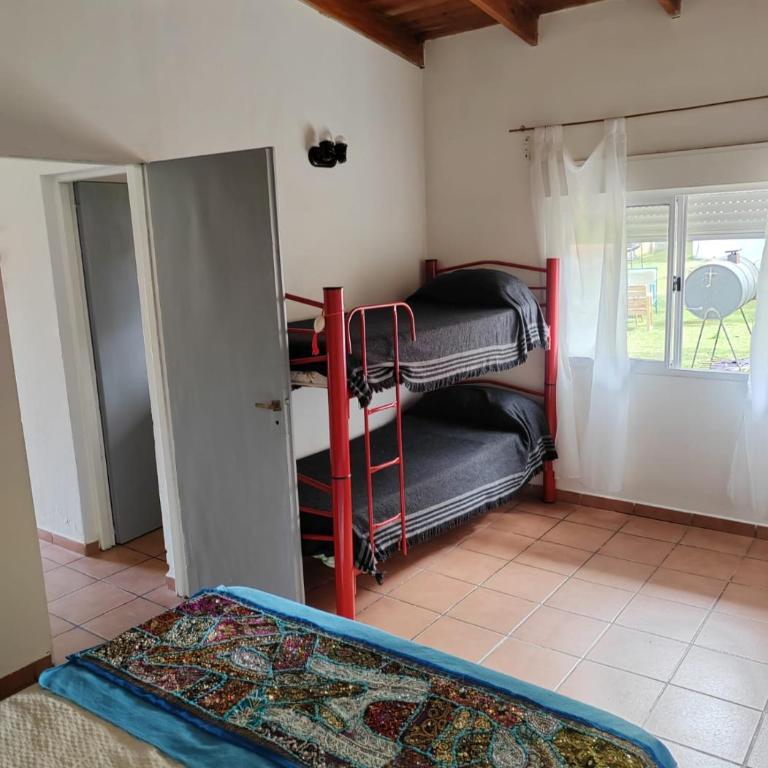 La Casita De Atras - One-Bedroom House - 21