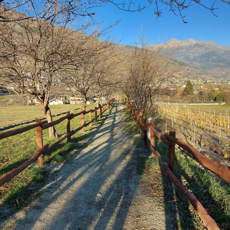 La Taverna Alloggio ad uso turistico - VDA -Sarre - CIR- 0073 - Appartamento con 1 Camera da Letto - Seminterrato - 22