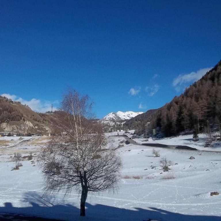 Trilocale BELVEDERE Alloggio ad uso turistico - VDA - LA THUILE - CIR 0068 - Appartamento con doccia - 27