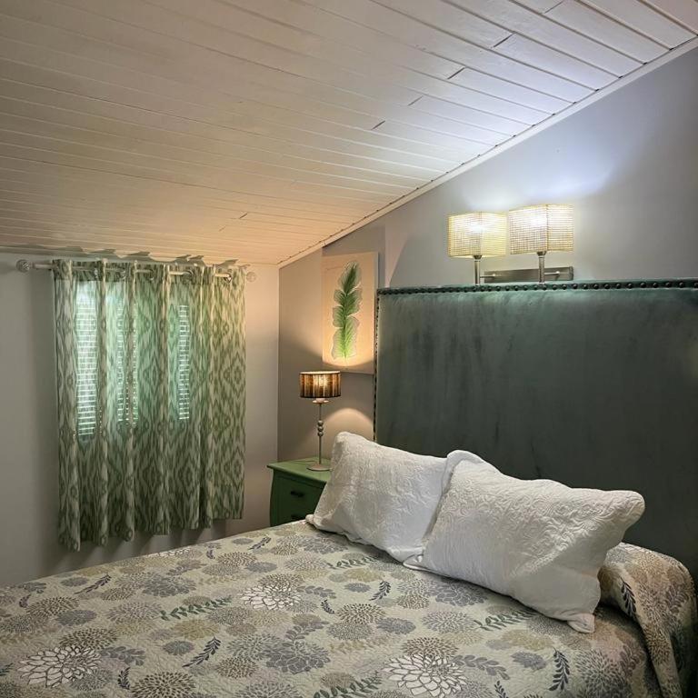 Vivienda Rural Rio Cerezuelo - Apartamento Ático - 69