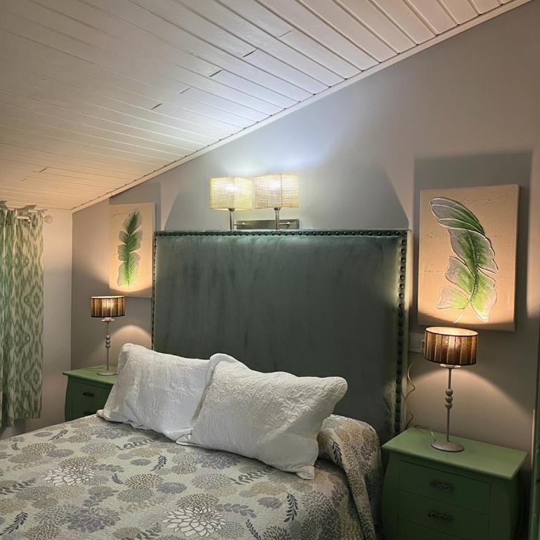 Vivienda Rural Rio Cerezuelo - Apartamento Ático - 62