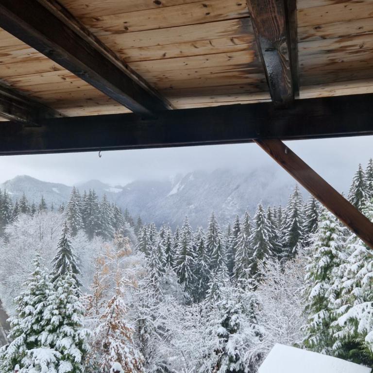 Alpine 1 bed Chalet with beautiful views - Appartement 1 Chambre - 24