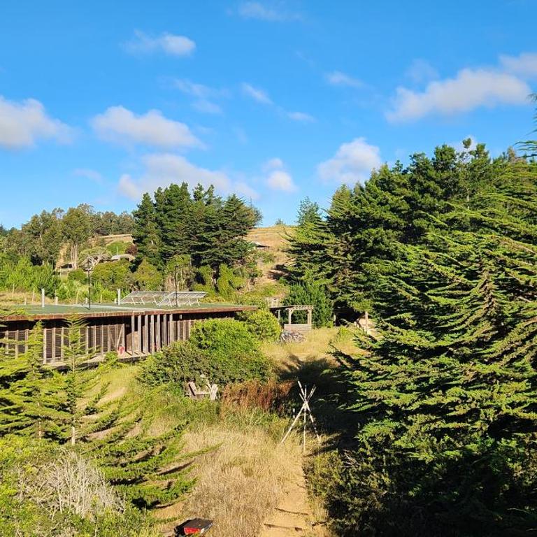Olas de Chile Ecocamp - Parcela - 7