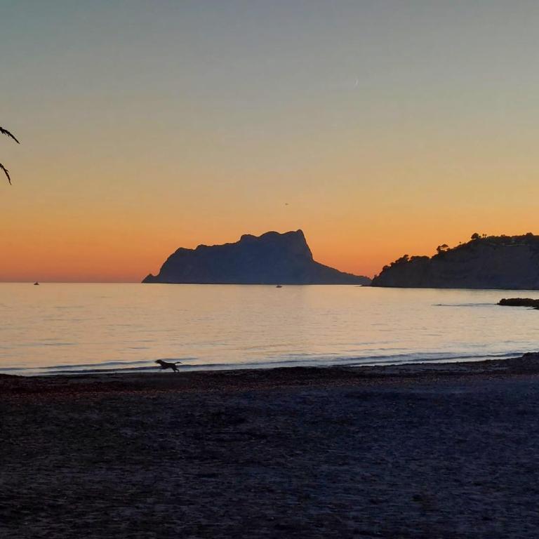 Casita Vida Moraira - Apartamento de 1 dormitorio - 16
