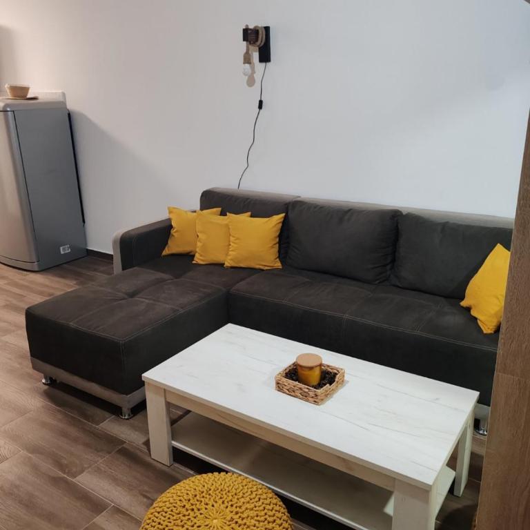 Apartman Divčibarska jela - Apartman sa 1 Spavaćom Sobom - 3