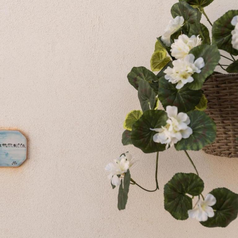 Il Golfo di Cofano - Casa Vacanze - 12
