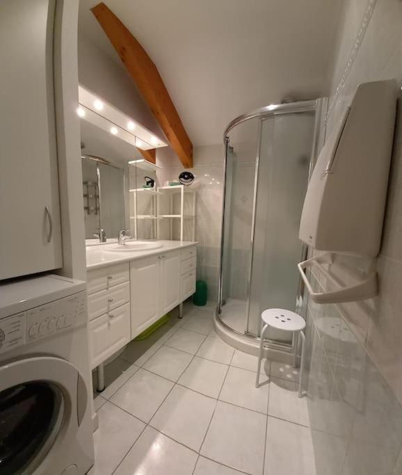 Gérardmer : appartement 43m2, classé 3*, vue lac - Appartement 1 Chambre - 7