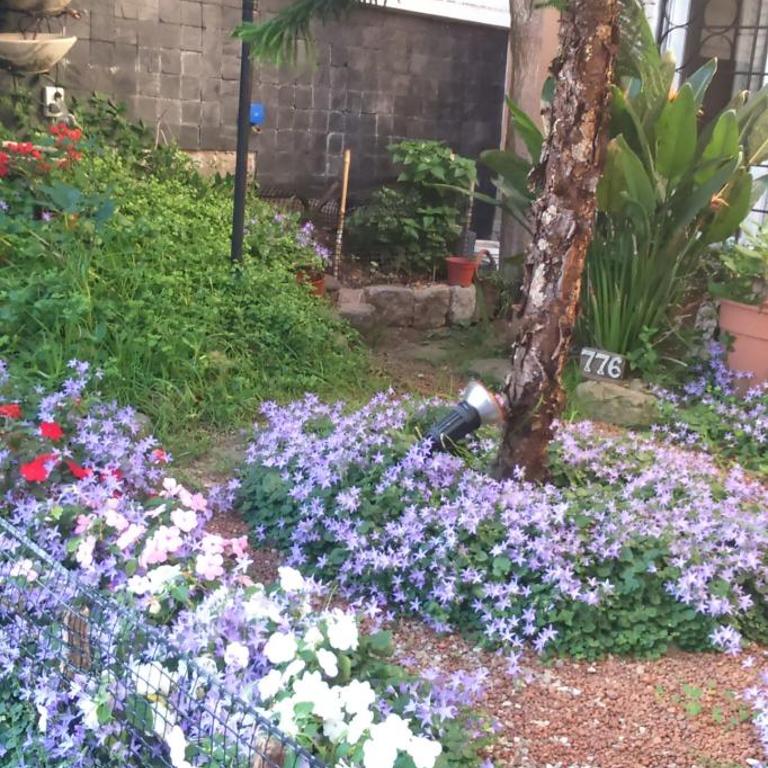 Your Place - Two-Bedroom House - 12