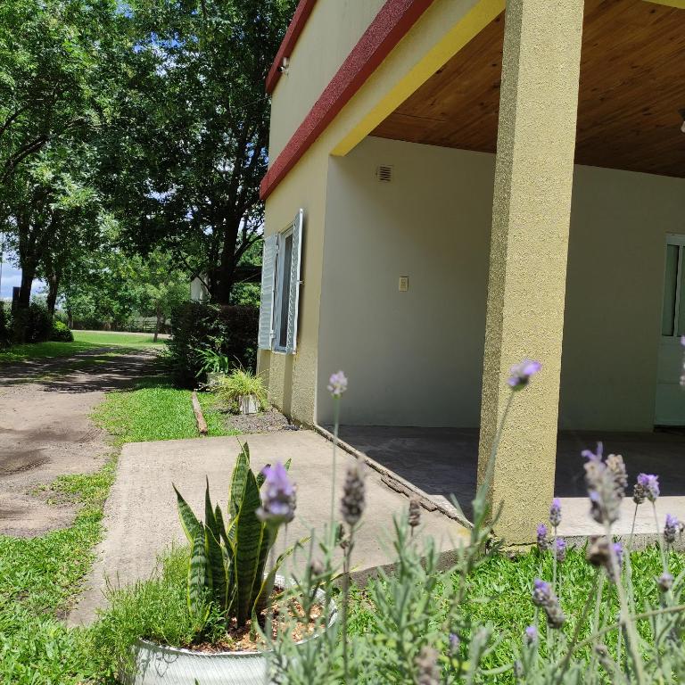 Alojamiento Dimar - Casa - 13