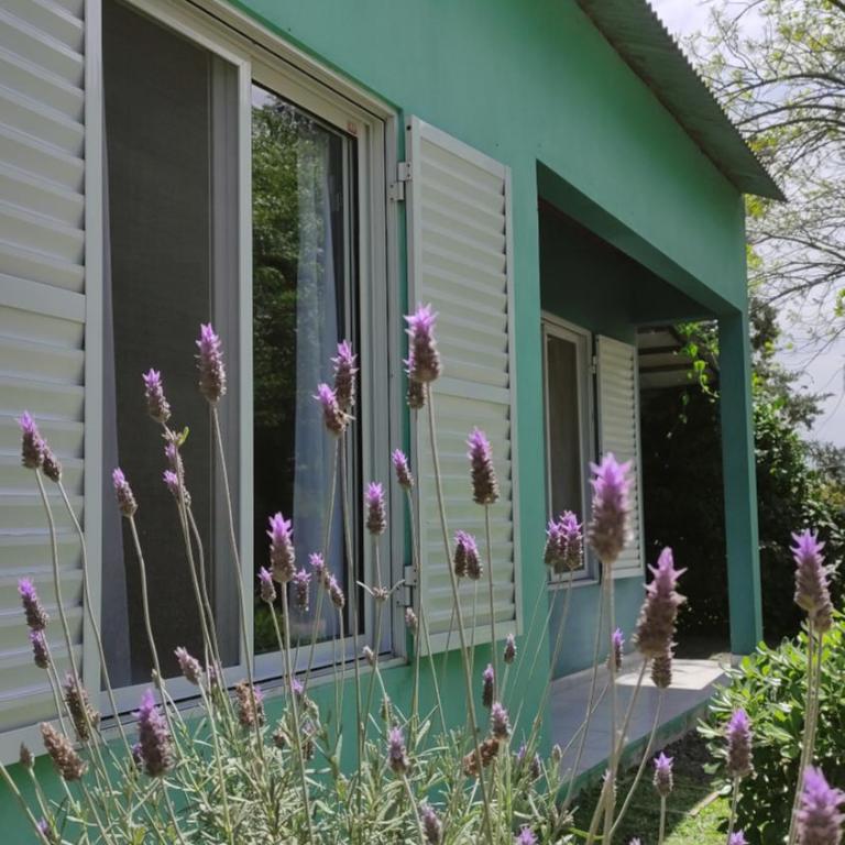 Alojamiento Dimar - Casa de 2 dormitorios - 6