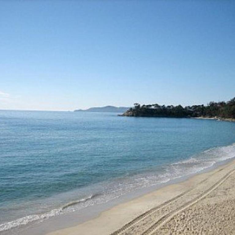 2 Pces, 4 Couchages, Terrasse, Parking, Piscine, Proche Plage et Commerces - Le Lavandou - FR-1-251-558 - Appartement - 12