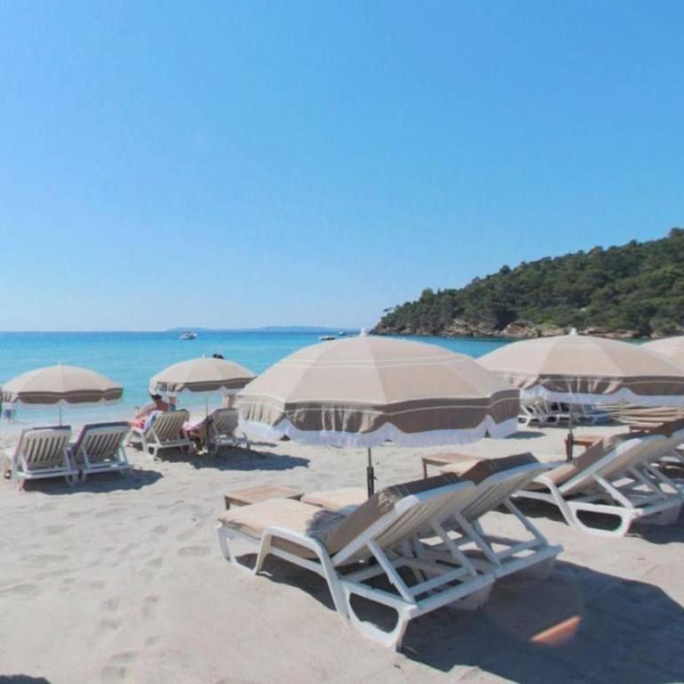2 Pces, 4 Couchages, Terrasse, Parking, Piscine, Proche Plage et Commerces - Le Lavandou - FR-1-251-558 - Appartement - 15