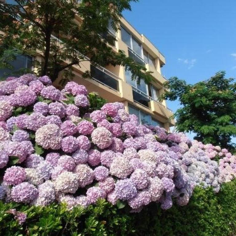 Appartement récemment rénové de 2 pièces avec balcon, climatisé, à 450m de la plage - Bormes-les-Mimosas - FR-1-251-562 - Appartement - 10
