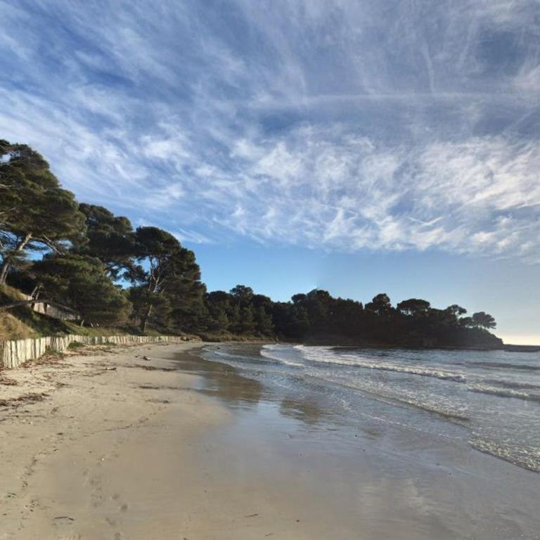 Appartement récemment rénové de 2 pièces avec balcon, climatisé, à 450m de la plage - Bormes-les-Mimosas - FR-1-251-562 - Appartement - 14
