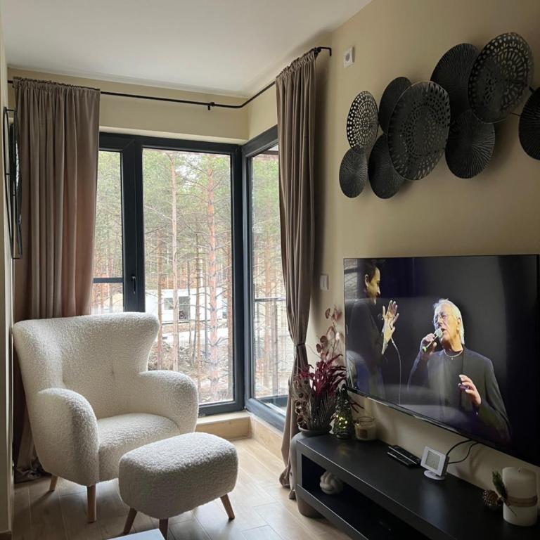 Apartman Aspen Divcibare - One-Bedroom Apartment - 18