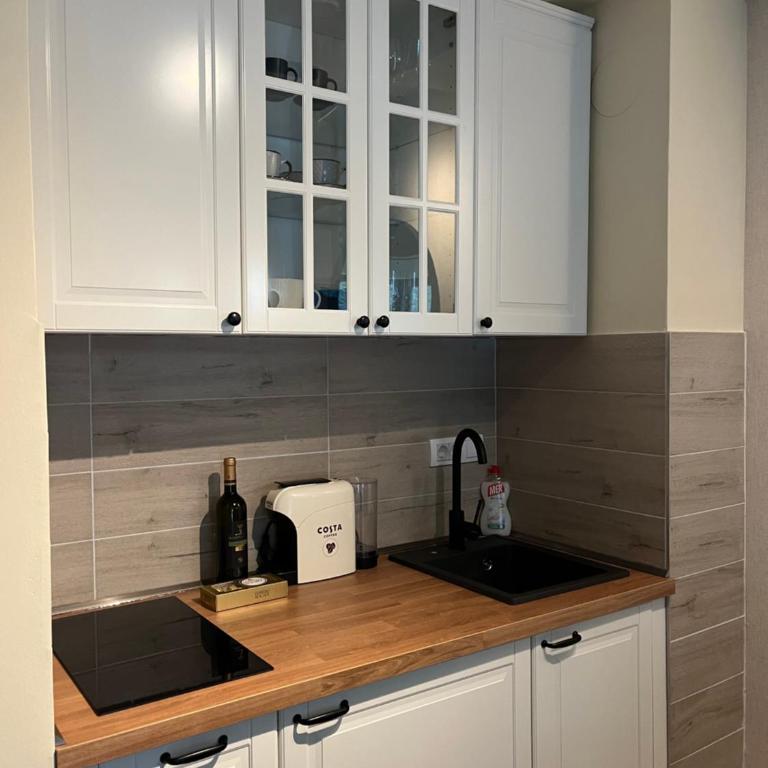Apartman Aspen Divcibare - One-Bedroom Apartment - 22