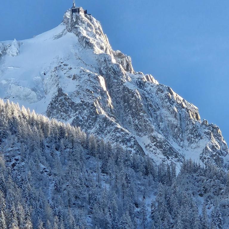 Appartement Cosy, Vue Mont Blanc, Plein Centre - Apartamento de 2 dormitorios con vistas a la montaña - 6