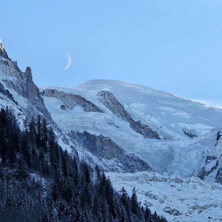 Appartement Cosy, Vue Mont Blanc, Plein Centre - Apartamento de 2 dormitorios con vistas a la montaña - 1