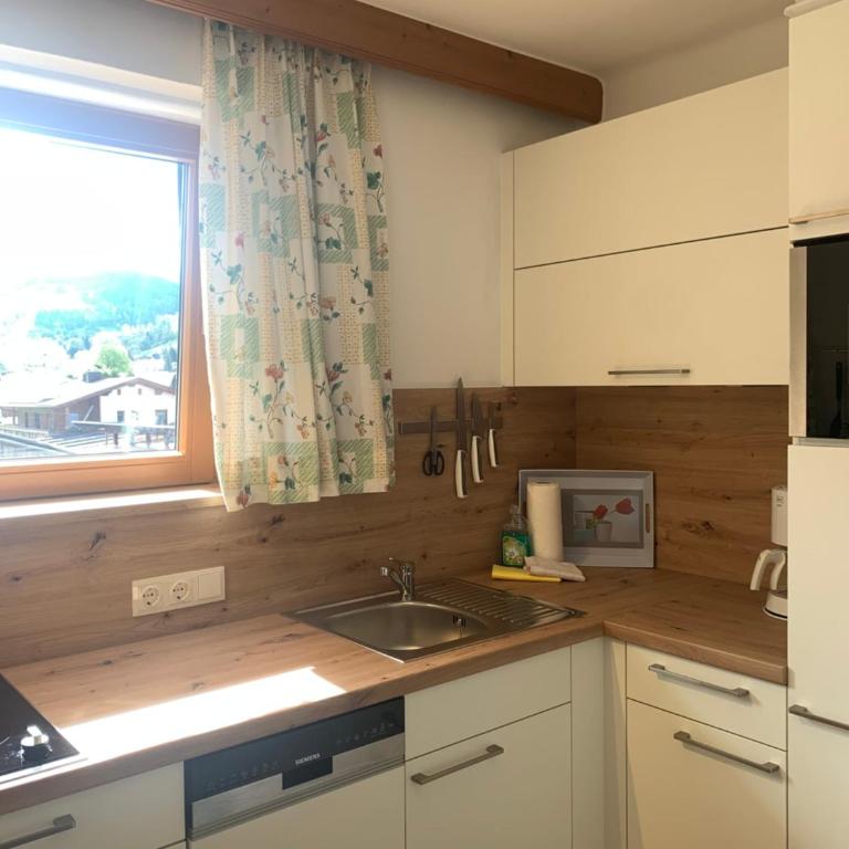Appartement Alpenhof Wildschönau - Studio mit Terrasse - 7