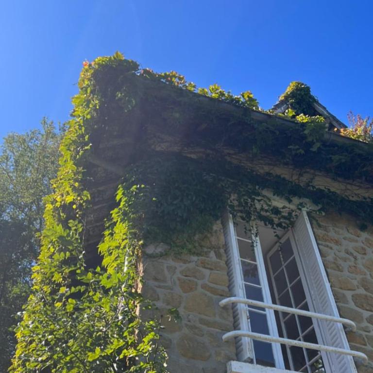 Lumineux appartement, jardin, vu sur mer - Appartement - Vue sur Mer - 10