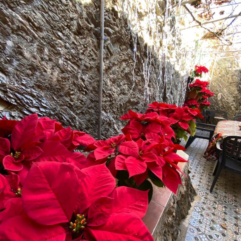 Casa en Alcazaba - Apartamento con vistas al mar - 31