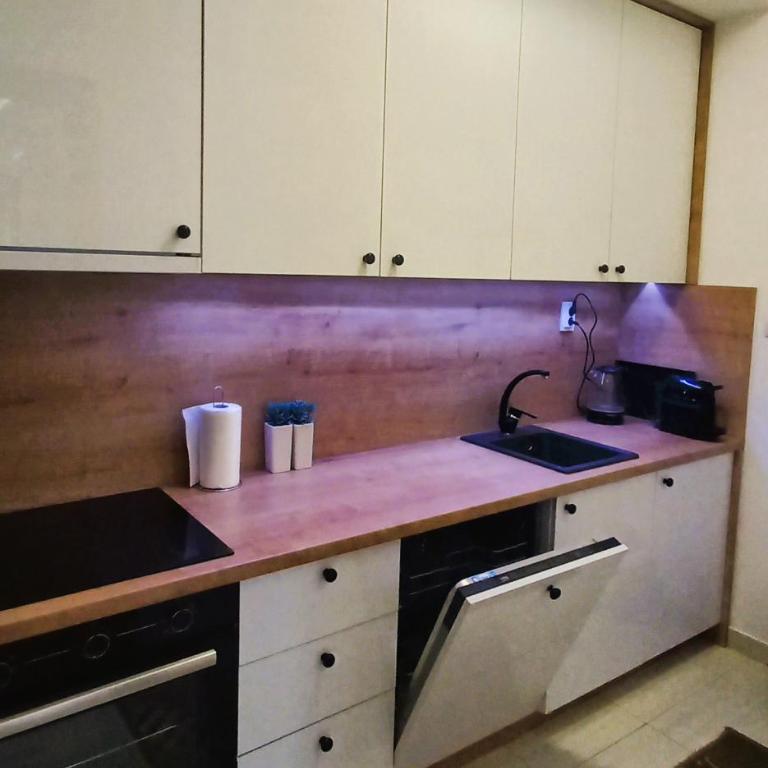 Budva Morska oaza - Apartman sa 1 Spavaćom Sobom - 11