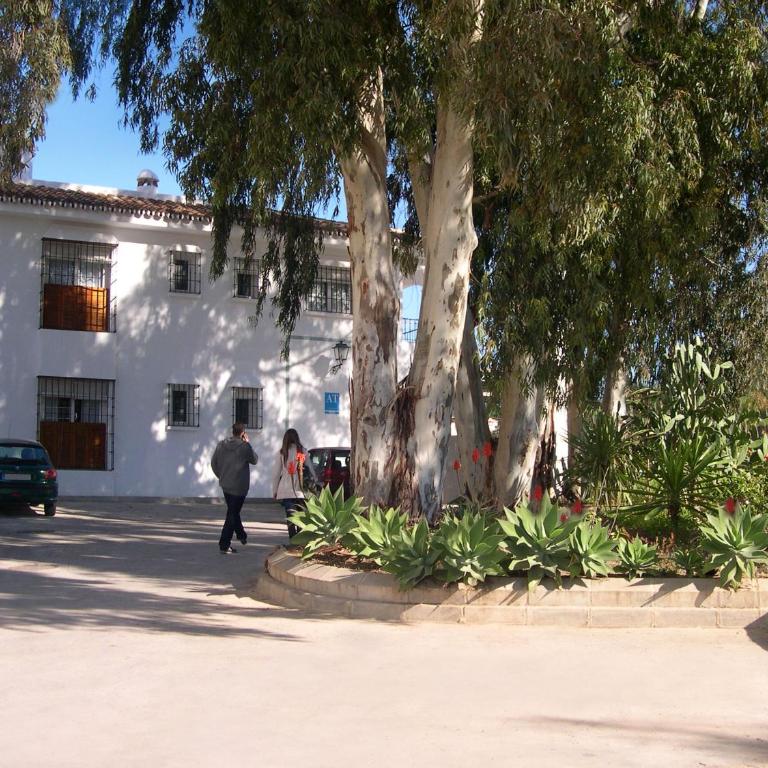 Bonito alojamiento en Malaga con piscina para teletrabajo - Apartamento - 15