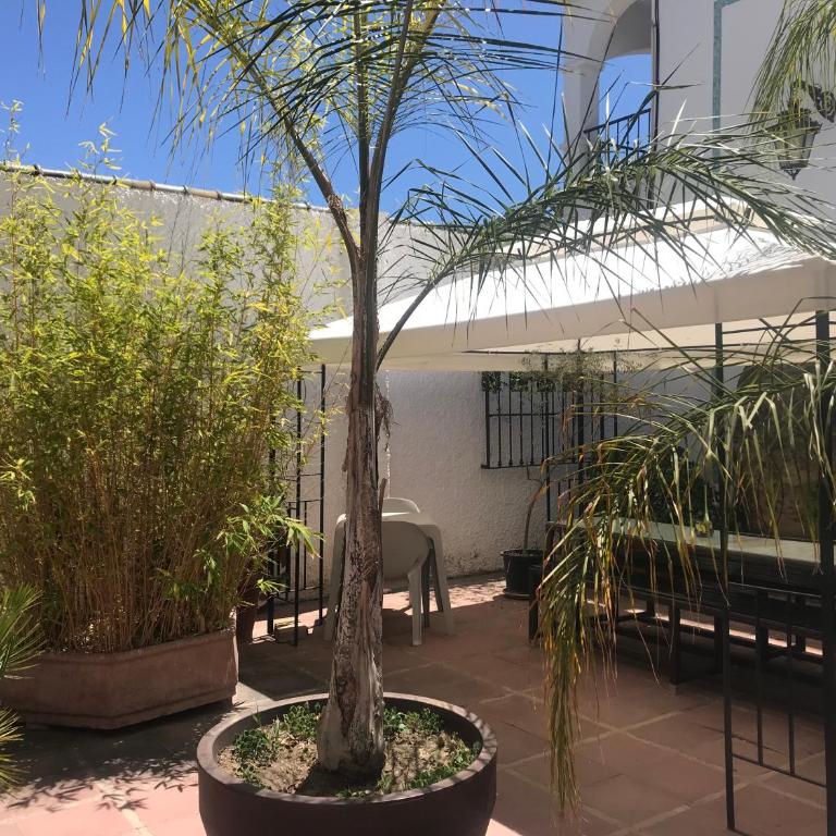 Bonito alojamiento en Malaga con piscina para teletrabajo - Apartamento - 34
