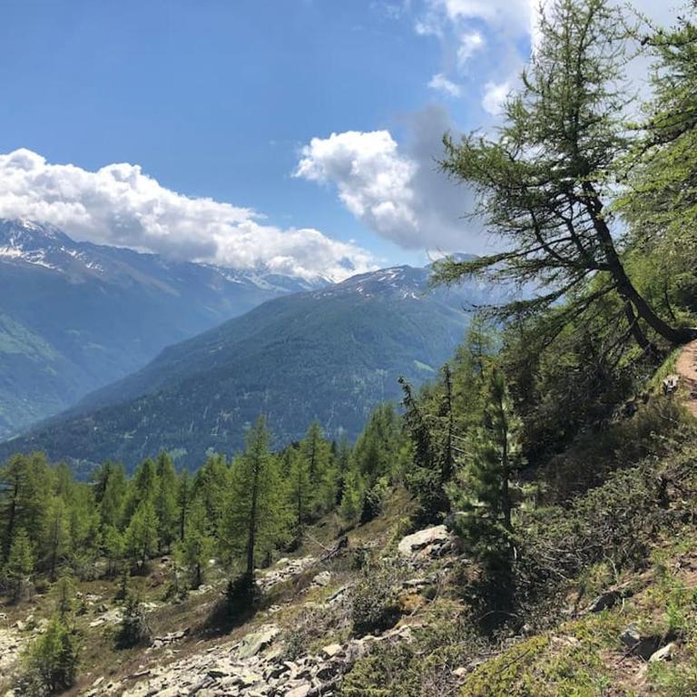Marvellous apartment with view on the Alps! - Apartment - 22