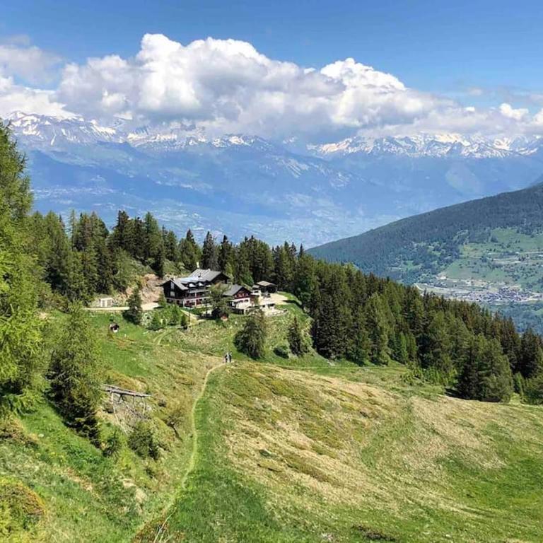 Marvellous apartment with view on the Alps! - Apartment - 24