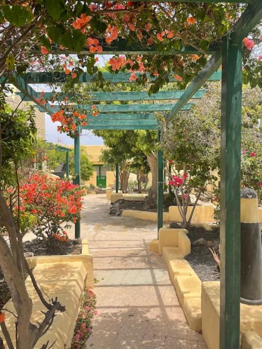 FuerteVilla - Apartamento de 1 dormitorio - 20