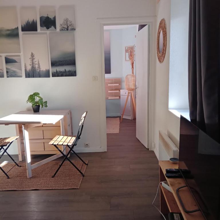Appartement calme, hyper centre. - Appartement 1 Chambre - 12