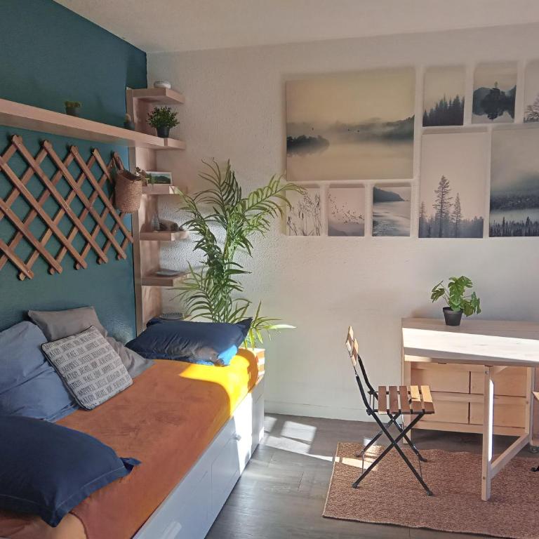Appartement calme, hyper centre. - Appartement 1 Chambre - 2