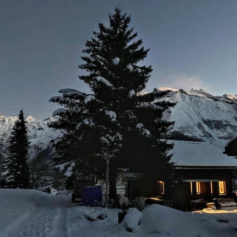 Cosy Chalet 87 in Engelberg with spectacular mountain and lake Views - Chalet mit 3 Schlafzimmern - 2