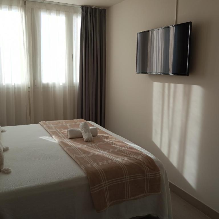 HOSTAL LA ESTACION TERRAZAS - Superior Double Room - 6