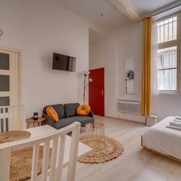 Charming hypercentre apartment Bordeaux - Apartment - 4