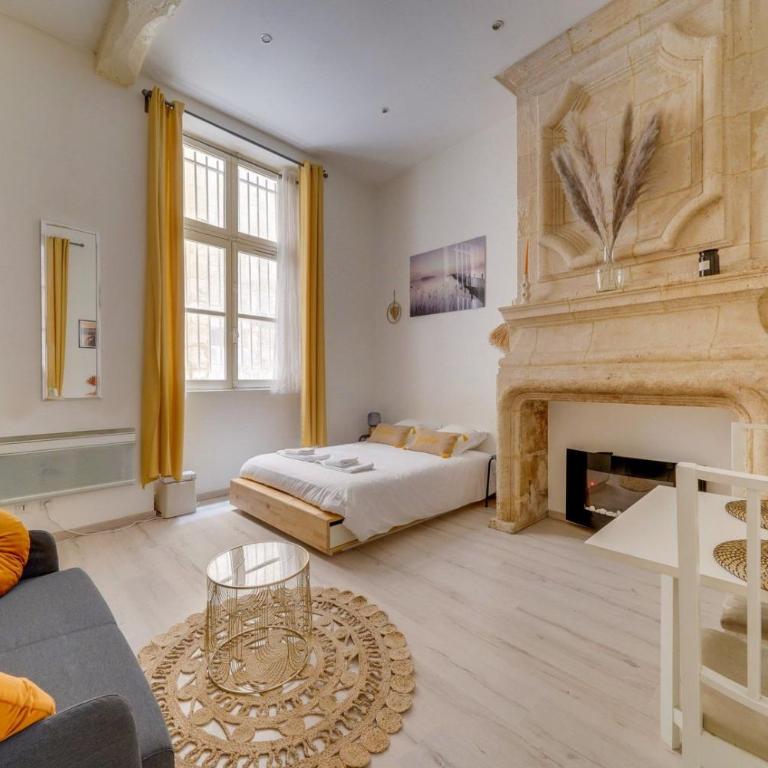 Charming hypercentre apartment Bordeaux - Apartment - 1