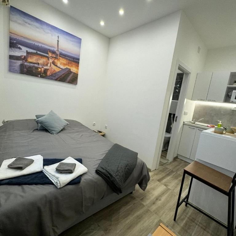 Global City Studio - Apartman sa 1 Spavaćom Sobom - 8