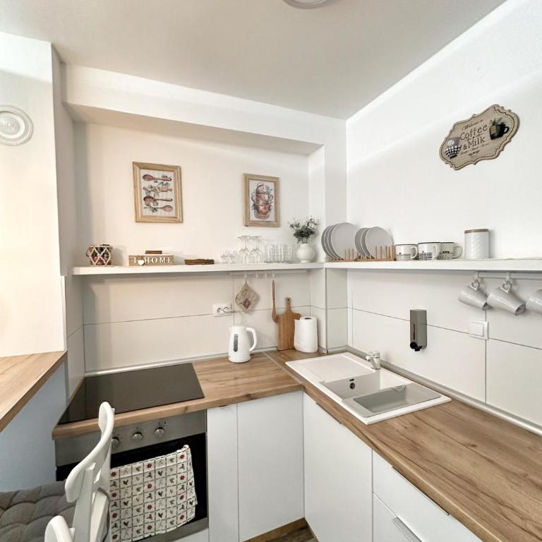Zlatni Breg Divcibare - Apartman sa 1 Spavaćom Sobom - 3